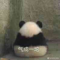 国宝 熊猫 生气 软妹 表情包