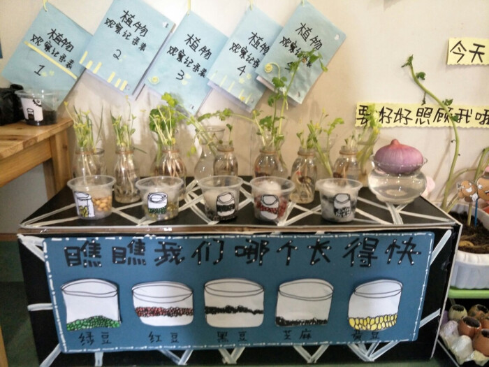 植物角 