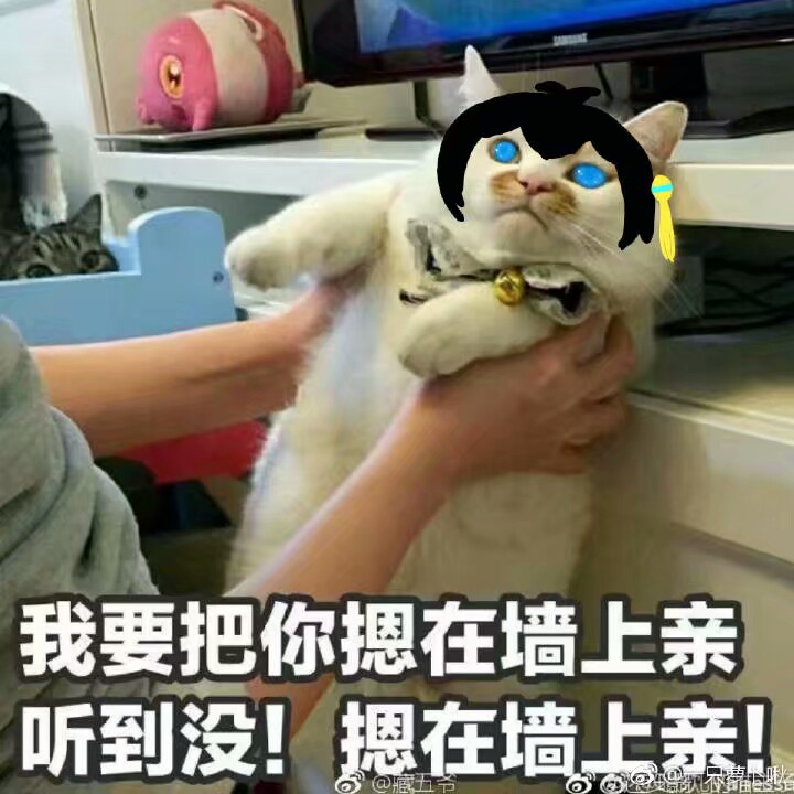 洛少爷 表情包