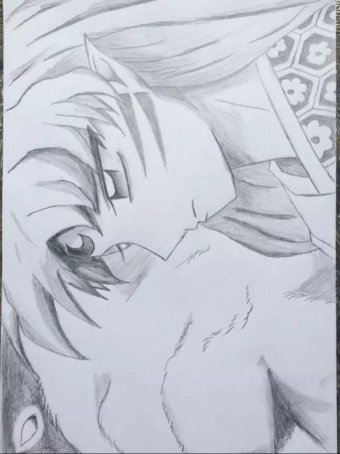 杀生丸sama