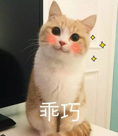 一脸乖巧