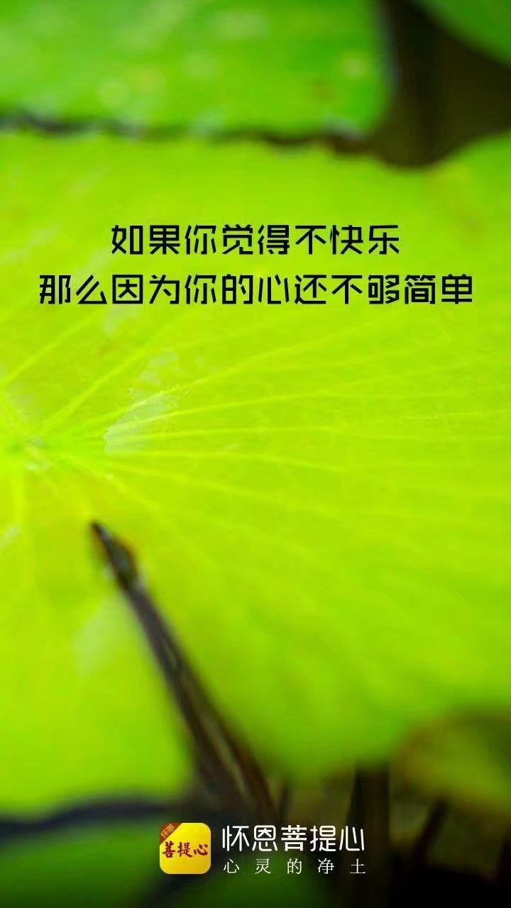 静心
