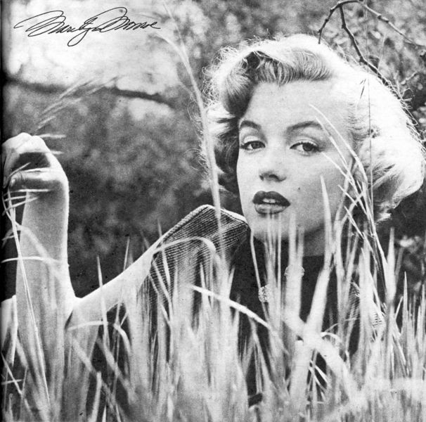 marilyn monroe