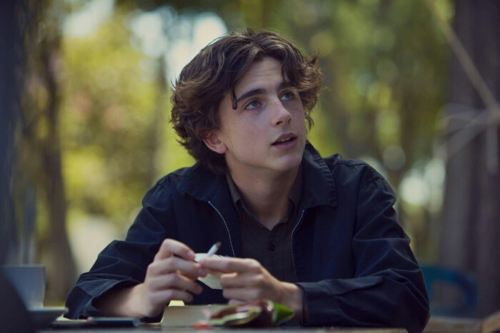 蒂莫西·柴勒梅德timothée chalamet,甜茶,头像,壁纸