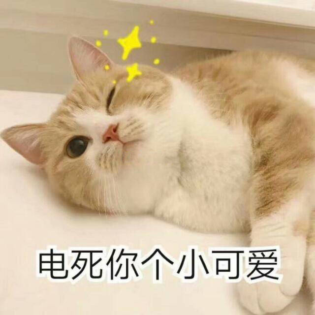 撒娇卖萌表情包
