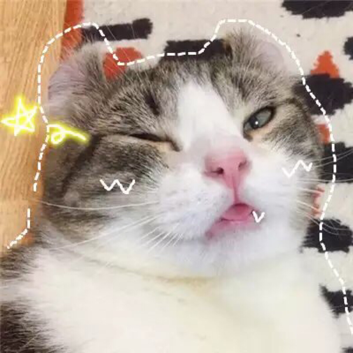 猫 吸猫 头像 表情包 可爱