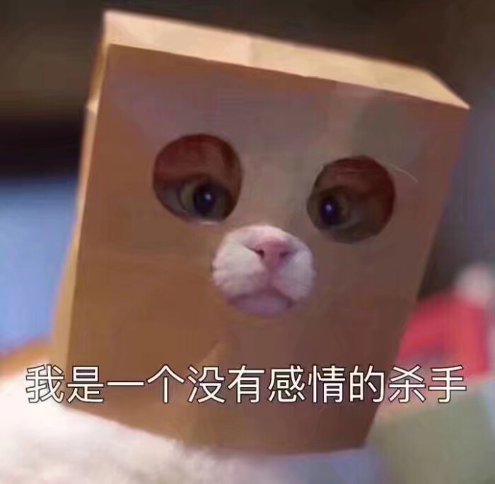 更新一波表情包 爱你们啵啵啵～|ω)