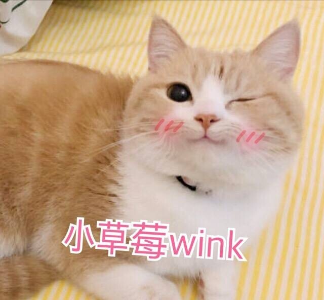 bobi:小草莓wink