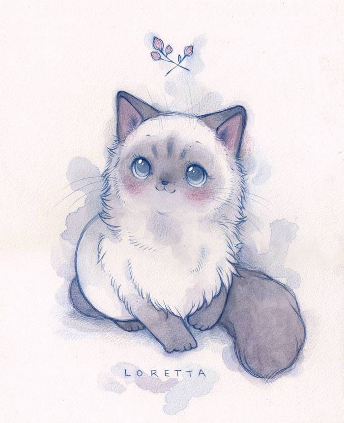 萌萌的猫咪插画bylindsaycampbell