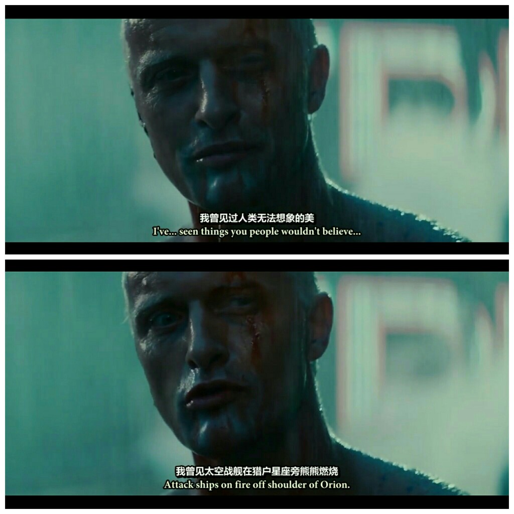 银翼杀手 blade runner(1982)》◎ 雷德利·斯科特(执导)〔绝美的雨中