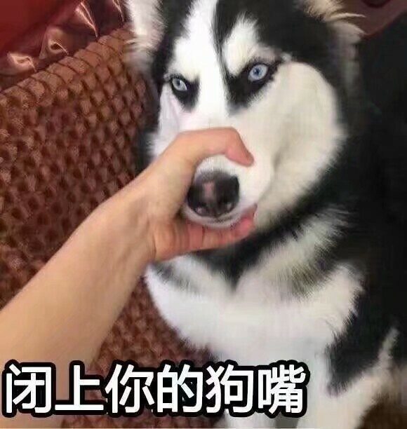 动物表情包 猫猫狗狗表情包 可爱萌图