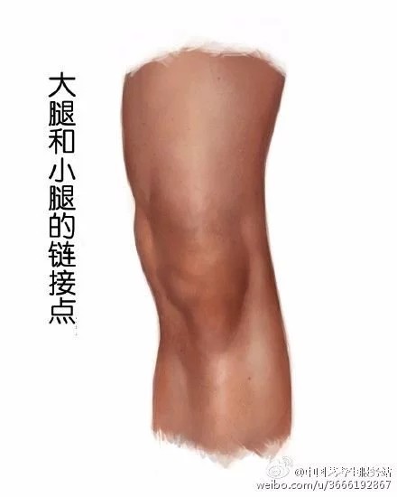 膝盖结构,技法,临摹,素描