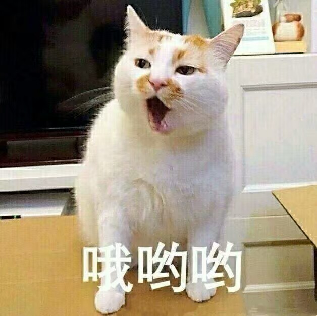 猫表情包可爱