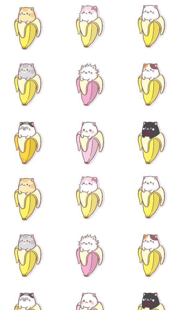 香蕉猫 