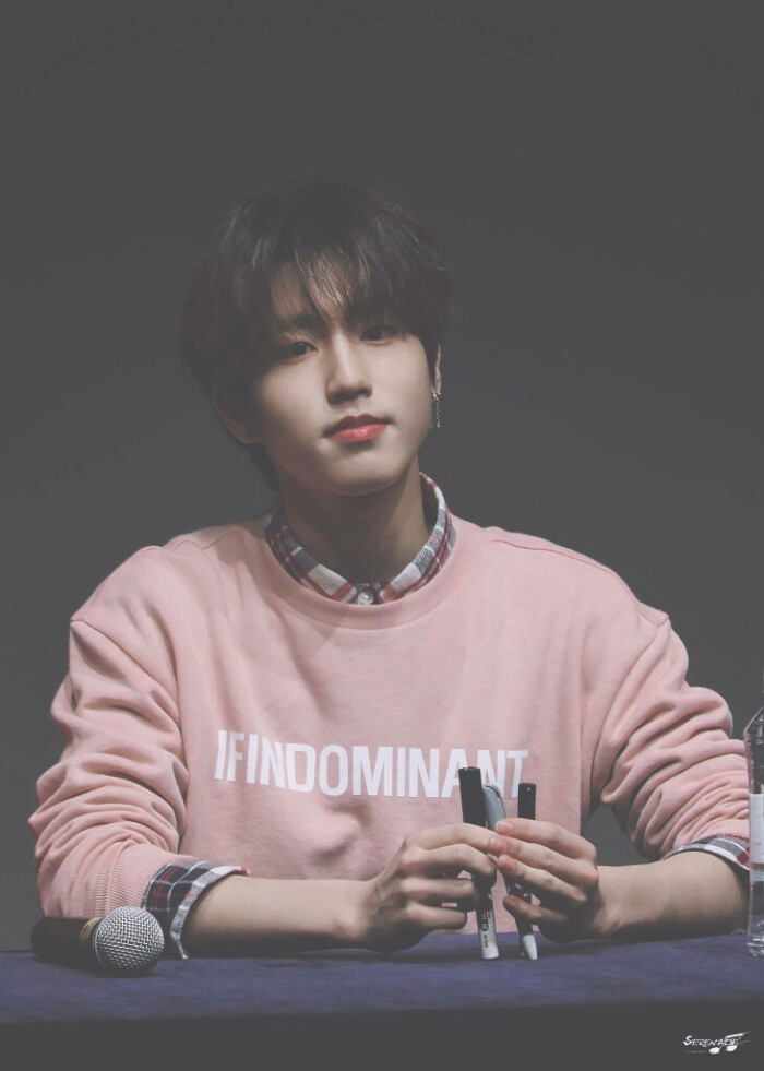 stray kids 韩知城(han ji sung)