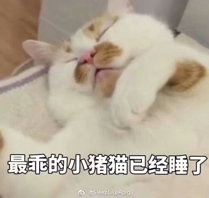 晚安 表情包