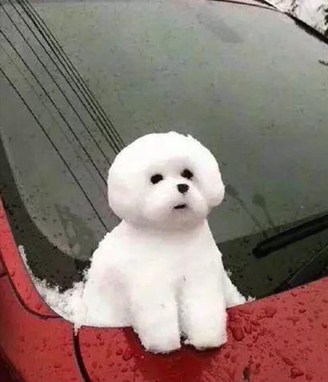 雪狗