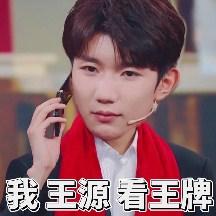 王源(表情包)cr:一位小肥