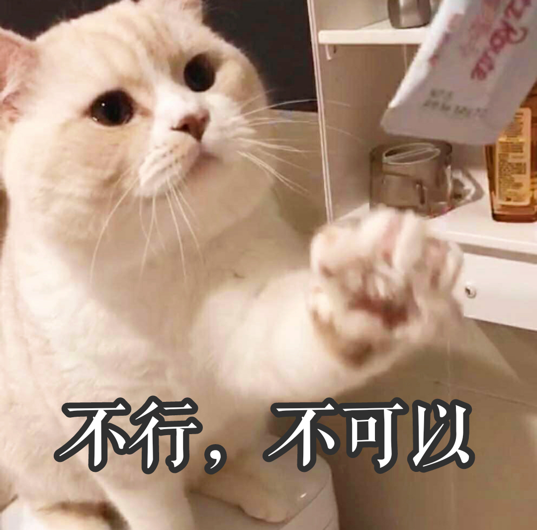 猫咪表情包bobi蹲bobi蹲bobi蹲完麦克蹲