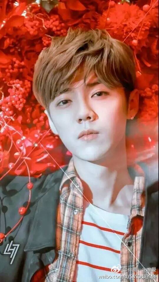 呆萌傻狍子 鹿晗 luhan #壁纸 #头像