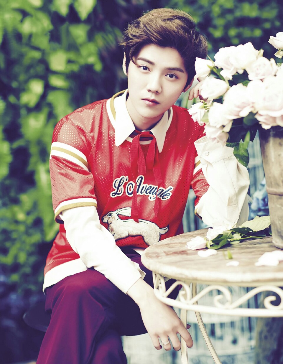 呆萌傻狍子 鹿晗 luhan #壁纸 #头像