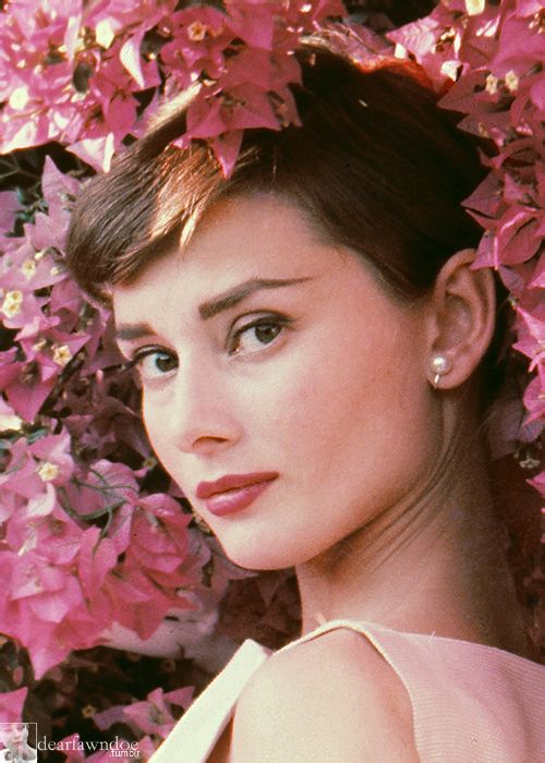 audrey hepburn