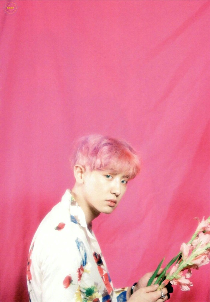 kokobop
