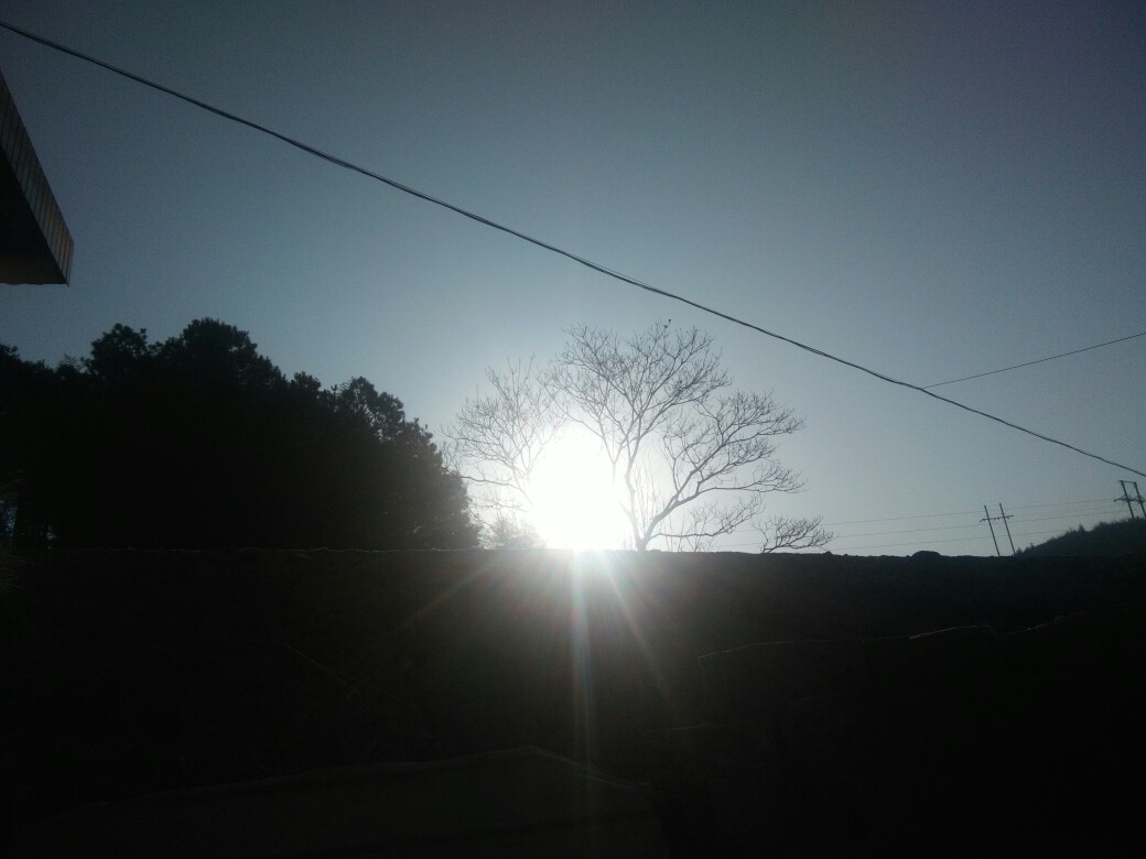 冬天;早晨的太阳