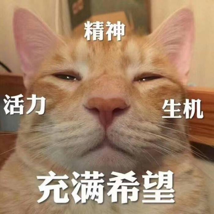 又是充满希望的一天