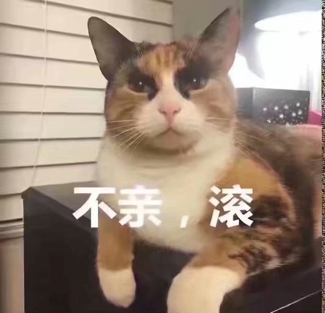 猫表情包可爱