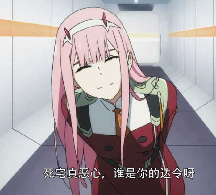 darling in the franxx表情包