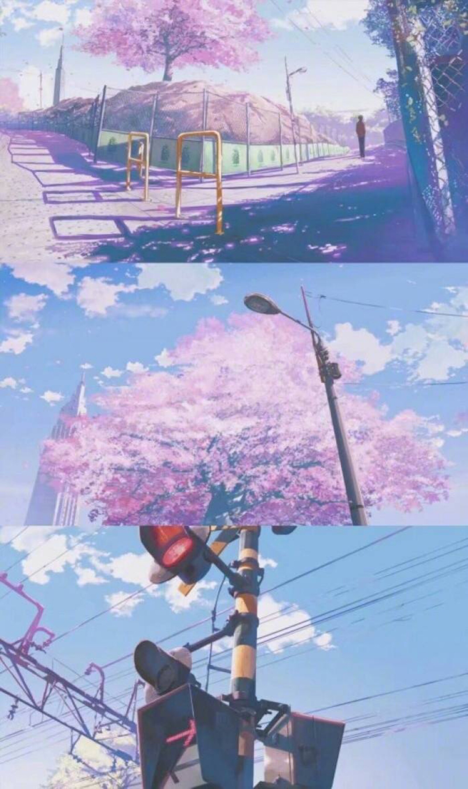 日本 樱花 街道 电车 好美 壁纸 壁纸