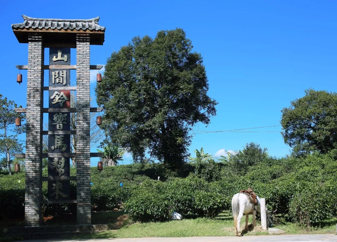 云南勐海县茶马古道