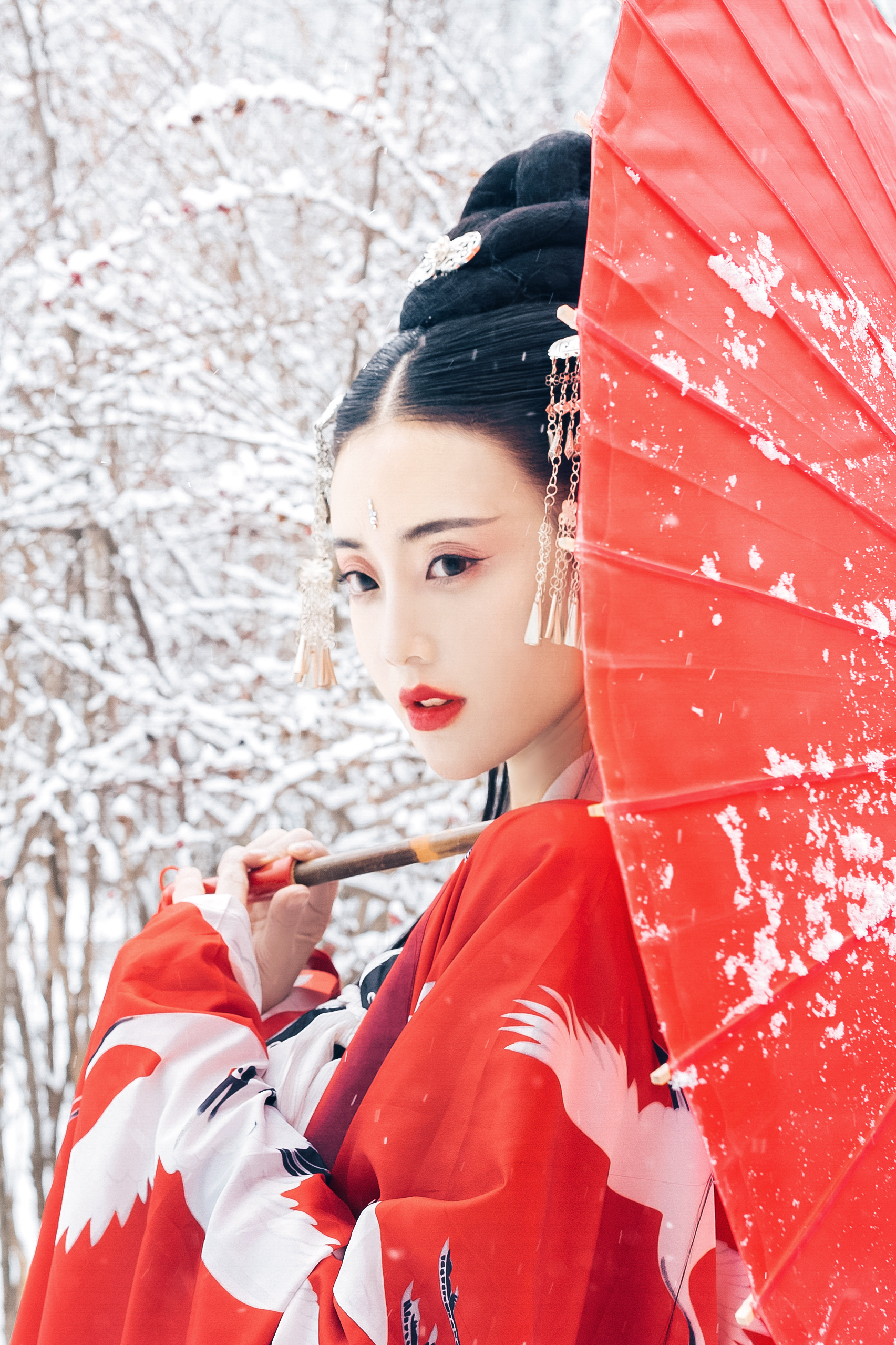 生年里醒时醉时,为谁而痴,红梅白雪知.摄影:小欣欣