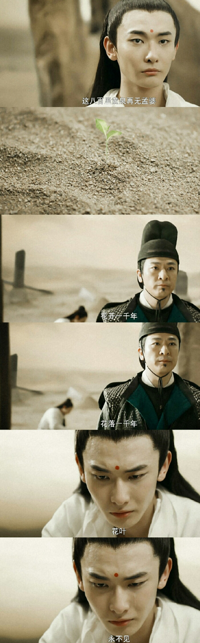 灵魂摆渡黄泉长生丨赵吏花开一千年,花落一千年,花叶永不见原图:节操