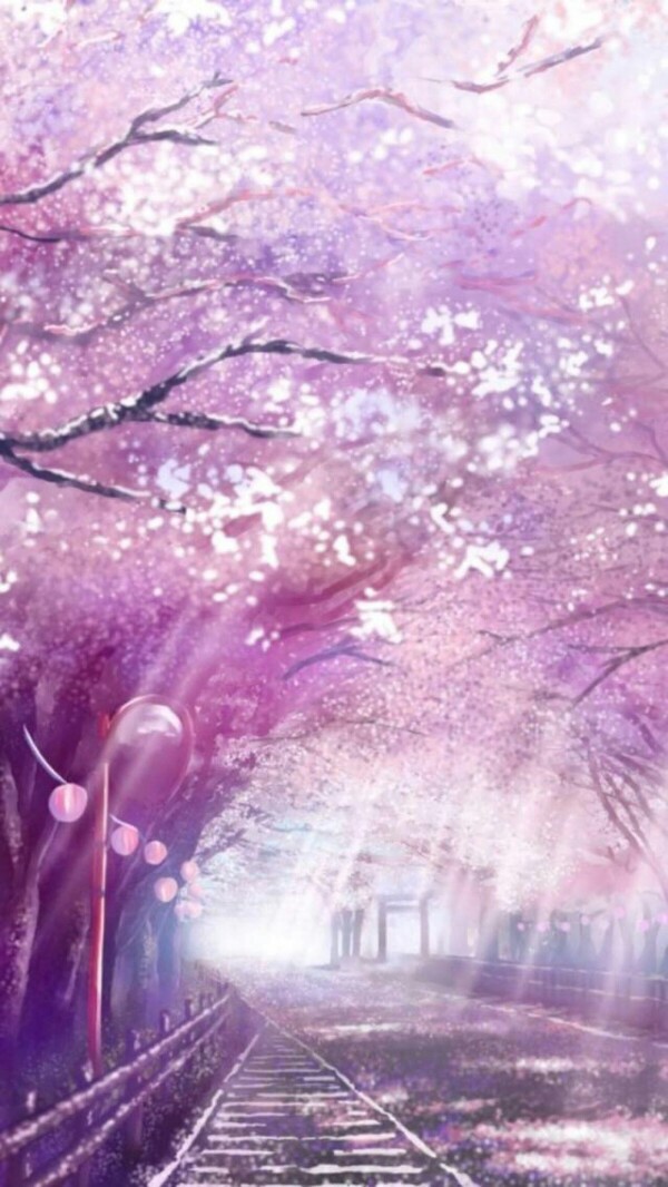 唯美 樱花树 铁路 阳光 壁纸