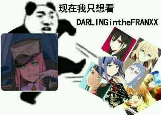 darling in the franxx 表情包 图源贴吧