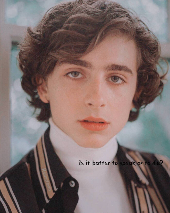 蒂莫西·柴勒梅德timothée chalamet,甜茶,头像,壁纸cr @rainstorm