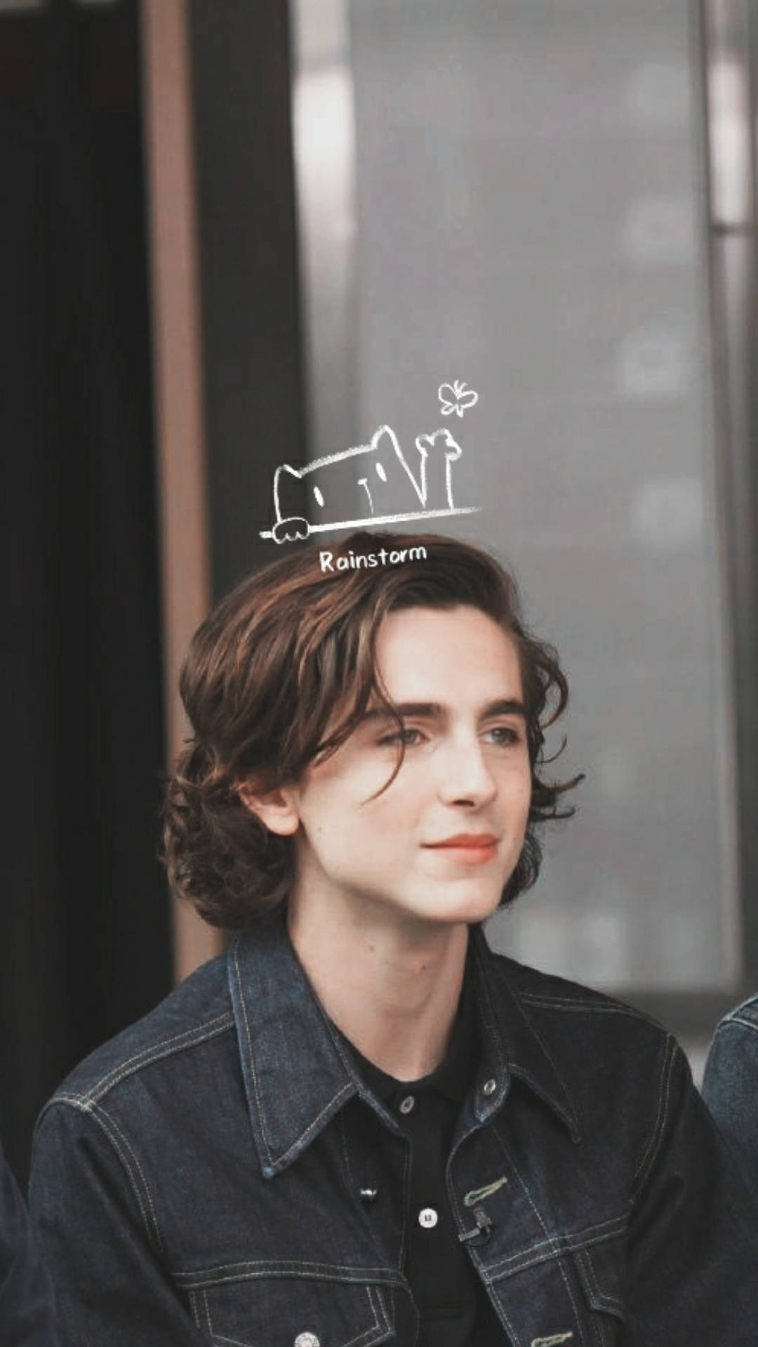 蒂莫西·柴勒梅德timothée chalamet,甜茶,头像,壁纸cr @rainstorm