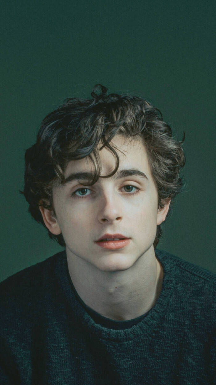 蒂莫西·柴勒梅德timothée chalamet,甜茶,头像,壁纸cr @rainstorm