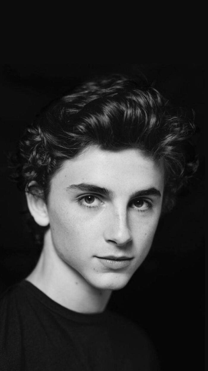 蒂莫西·柴勒梅德timothée chalamet,甜茶,头像,壁纸