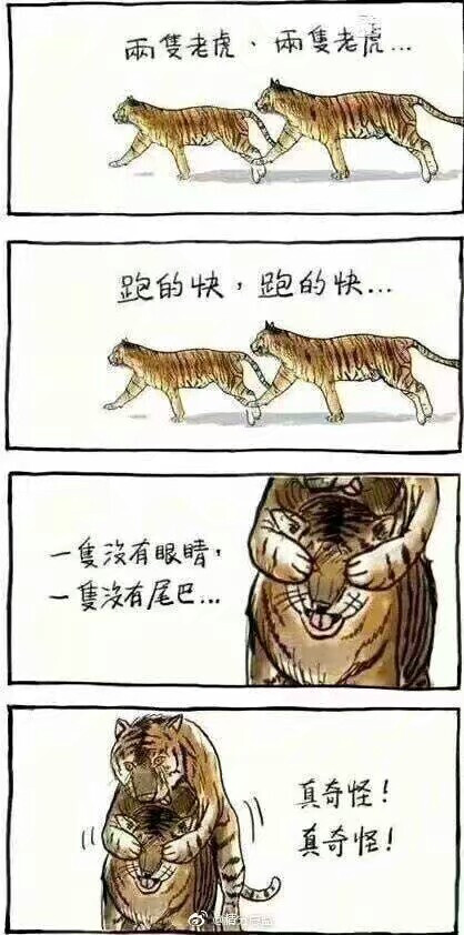 两只老虎