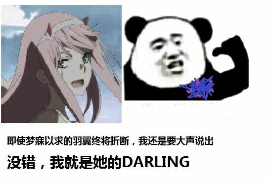 darling in the franxx表情包