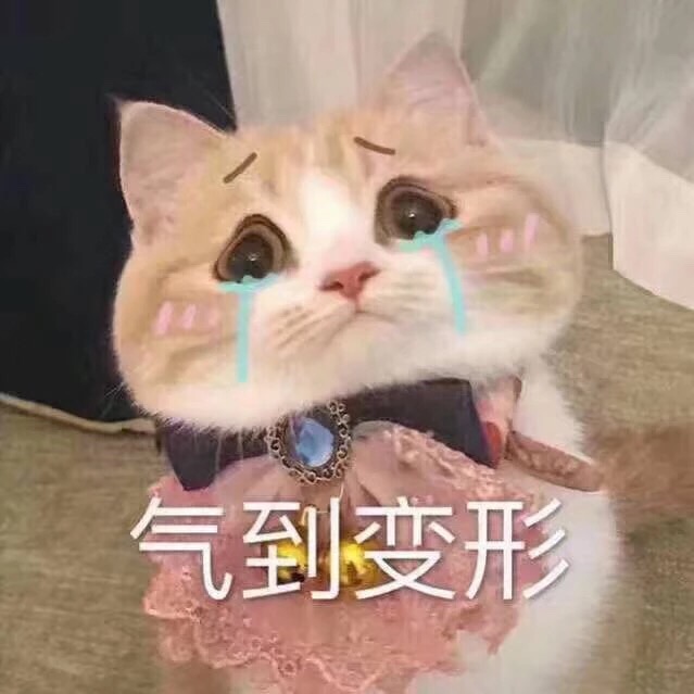 可爱的表情包