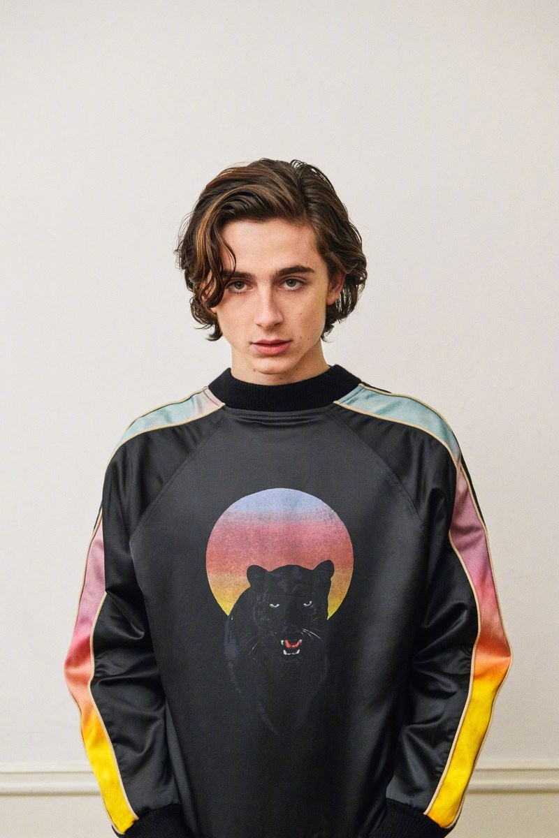 甜茶timothee chalamet