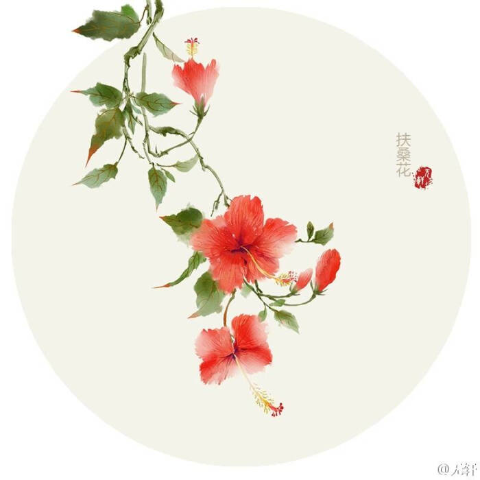 扶桑花 作者"无轩