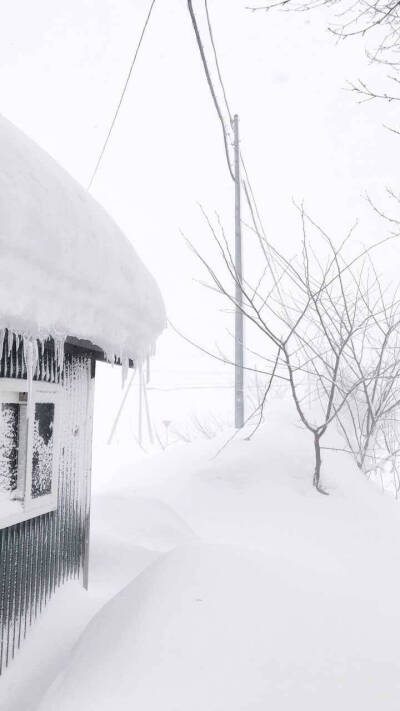 日本人雪景壁纸 cr.麻虾