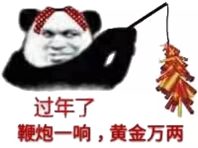 过年啦!新年快乐乐乐乐乐!