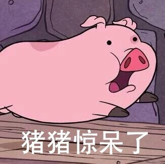 猪猪惊呆了