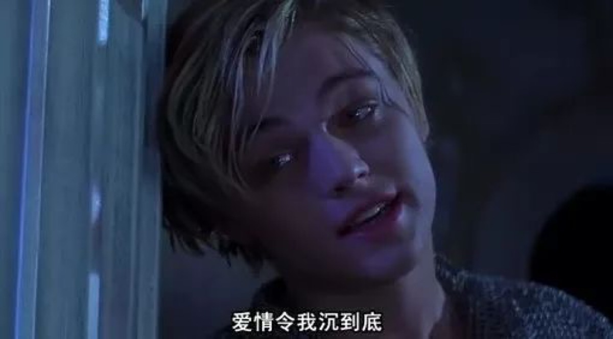 电影截图 莱昂纳多